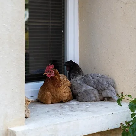 La Fralinette 3* Fralignes