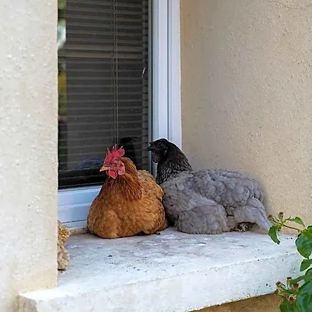 La Fralinette