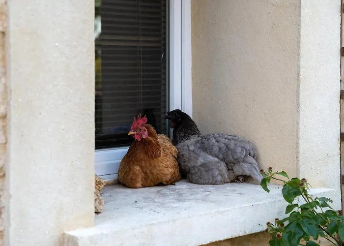 La Fralinette 3* Fralignes